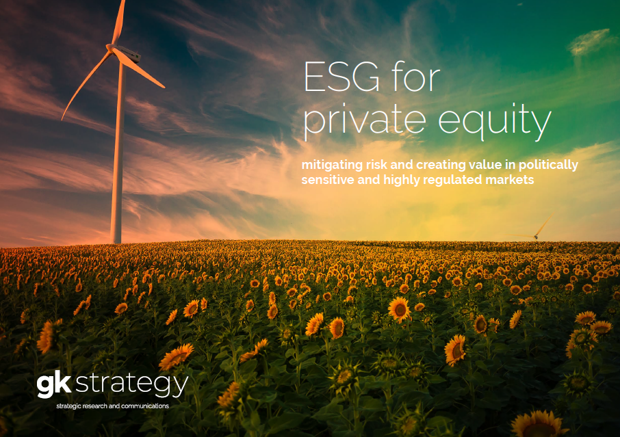 private equity esg case study